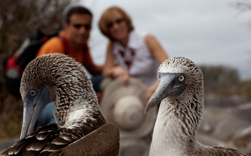 bird watching tour galapagos