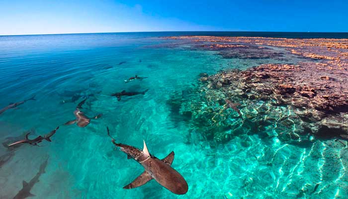 Interesting Facts About The Galapagos Islands