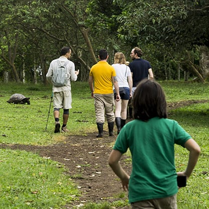 Galapagos Giant Tortoises