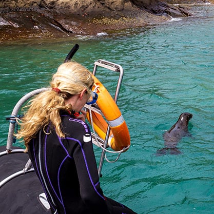 Galapagos Snorkeling