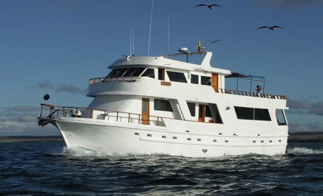 Darwin Yacht