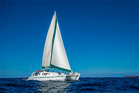 nemo catamaran galapagos