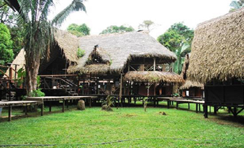 Jamu Lodge - Amazon Jungle