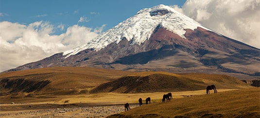 The Andes: Peaks, Highlands & Beyond