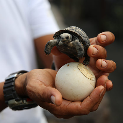 Galapagos Research