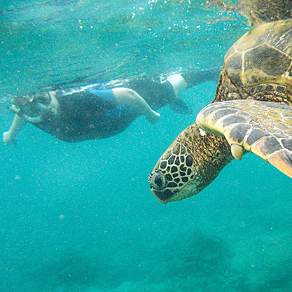 Galapagos Snorkeling