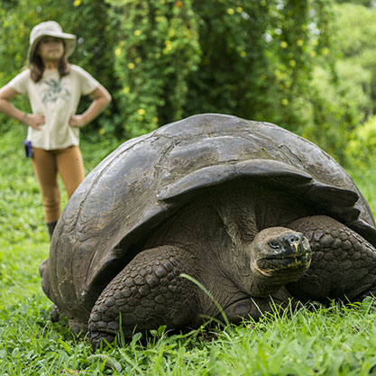 Galapagos Wildlife Encounters